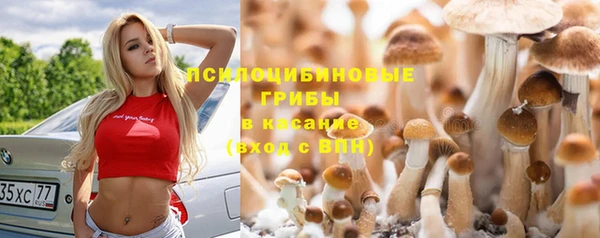 таблы Пересвет