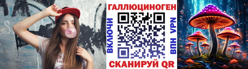 OMG ONION  Алзамай  Псилоцибиновые грибы Psilocybe 
